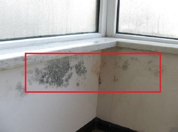 外墻滲漏不用怕，這六個對策總有一個能解決